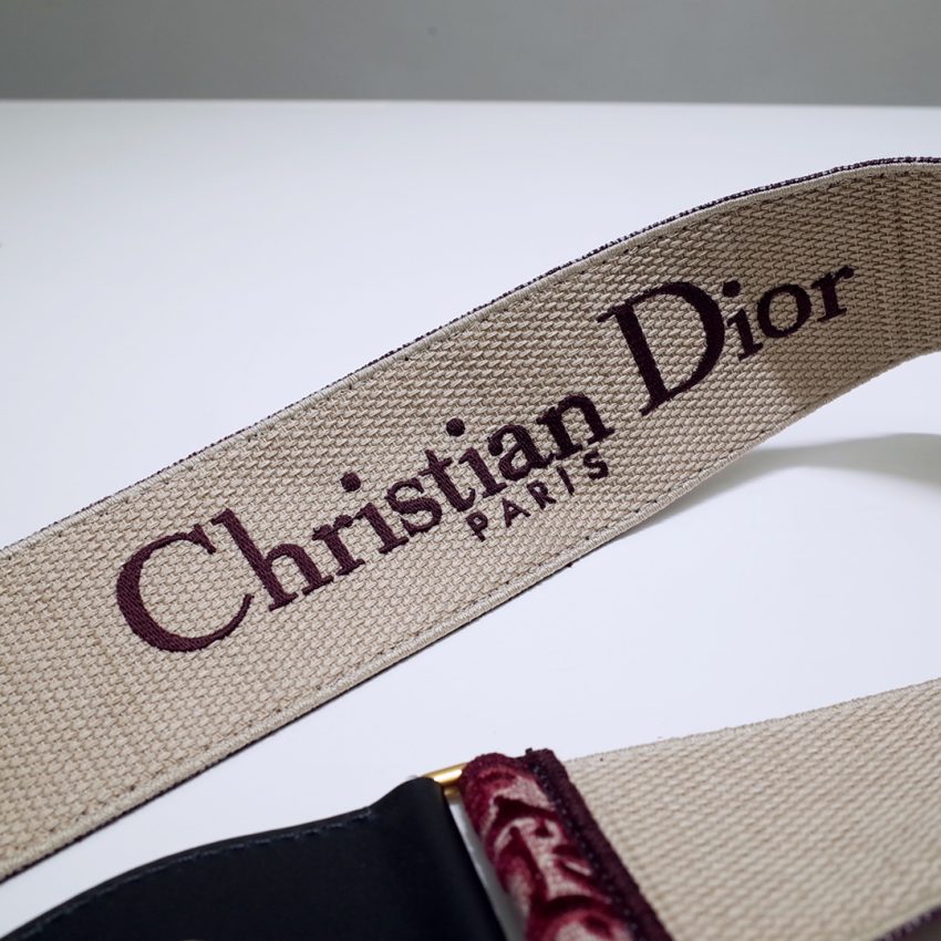 20201107_i1604725545_4634_7 Replica Dior Adjustable Shoulder Strap Red - Image 7