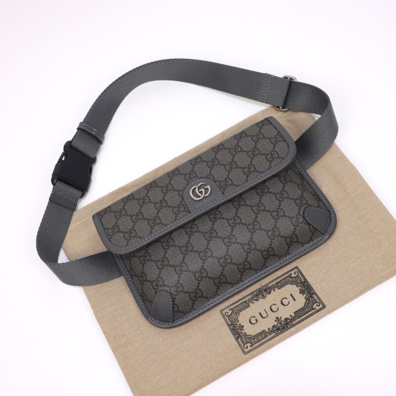 20230529_i1685317220_4476_6 Replica Gucci Ophidia GG Small Waist Grey - Image 4