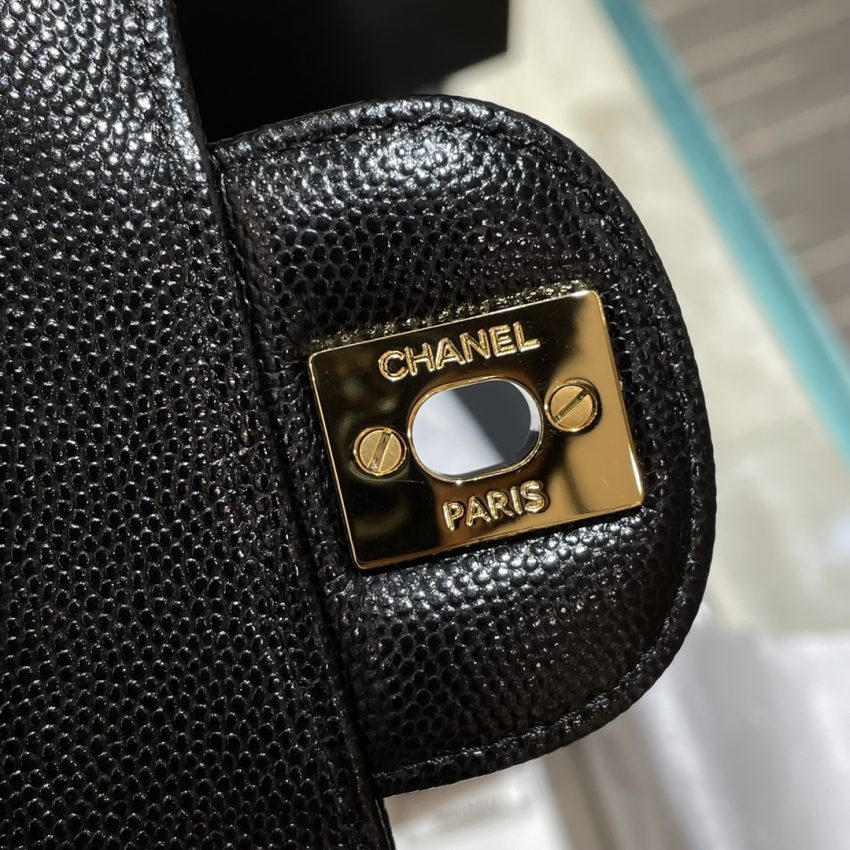 20230621_i1687325332_6086_5 Replica CHANEL Classic Flap V 20cm - Image 4
