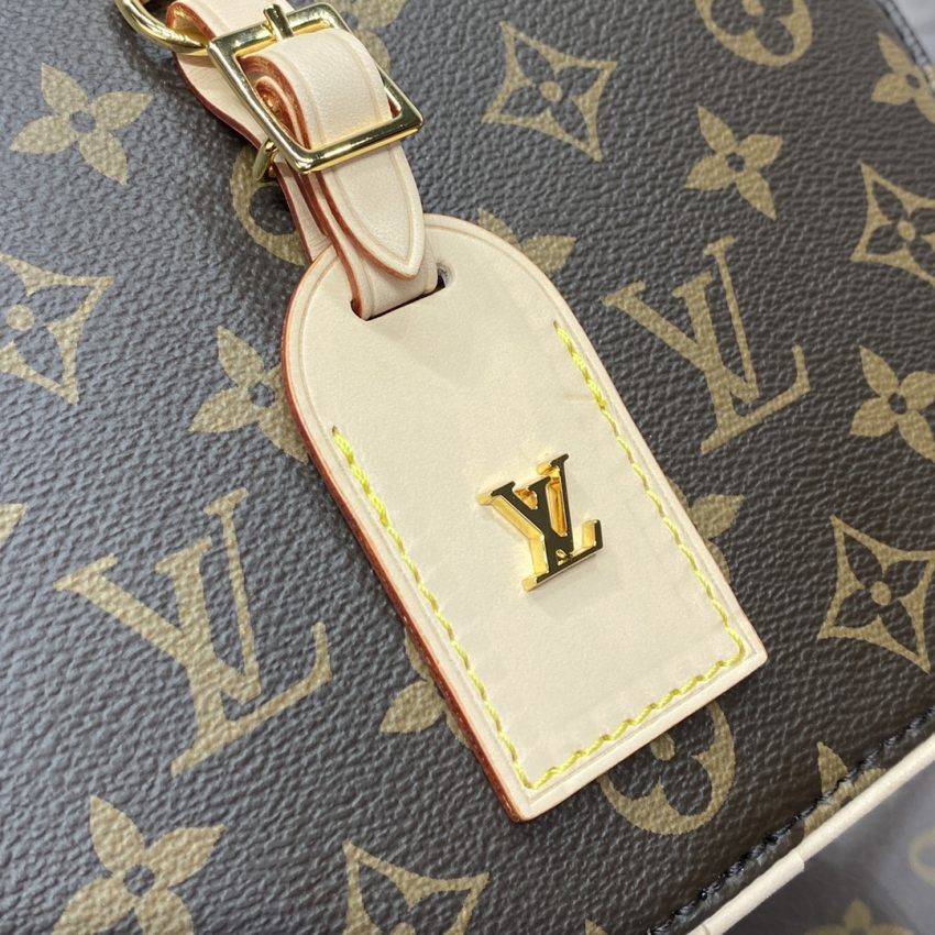 20240321_i1711024428_4927_5 Replica Louis Vuitton Around Me - Image 5