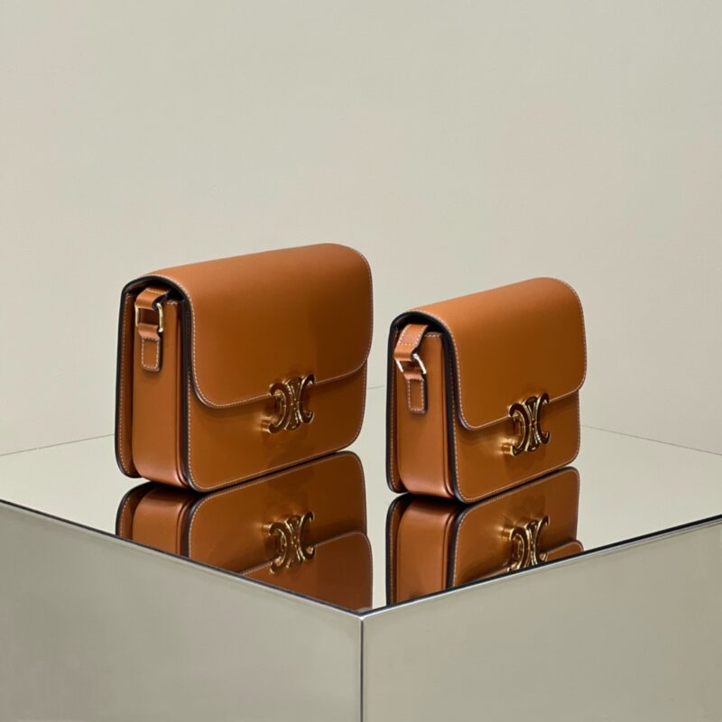 img_c2457b7a_20231019_i1697727350_1847_1 Replica Celine Triomphe Mini Brown - Image 2